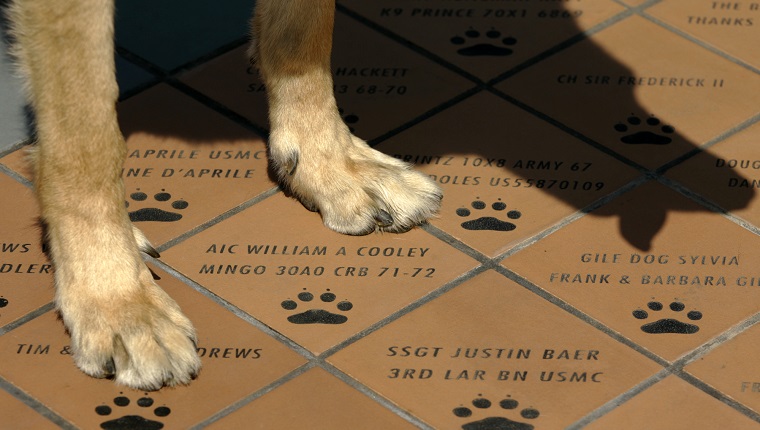 Riverside, Aug. 17, 2007 ? ? ? Small tiles carrying war dogs and their handlers name are installed at the foot of War Dog Memorial located in March Field Air Museum ? March Air Force Base to pay tribute to all the dogs and their handlers who took part in wars (Photo by Irfan Khan/Los Angeles Times via Getty Images)