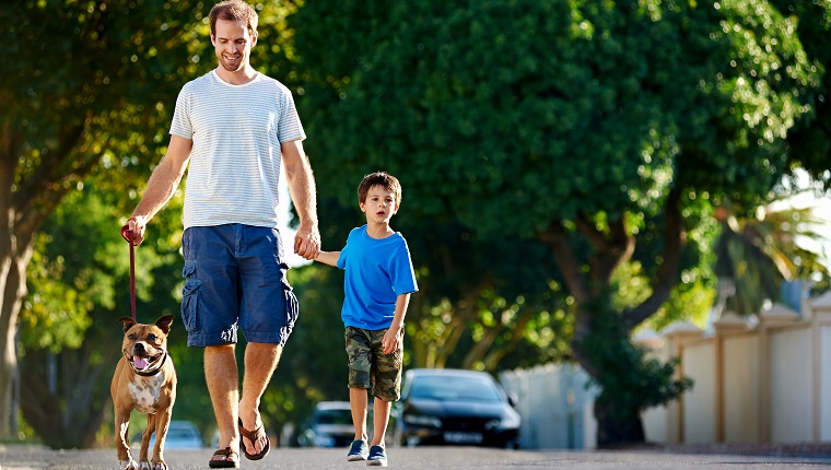 A father walking with his dog and his son in the suburbs