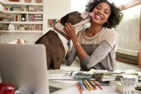 Dog licking face of female interior designer working at home office desk