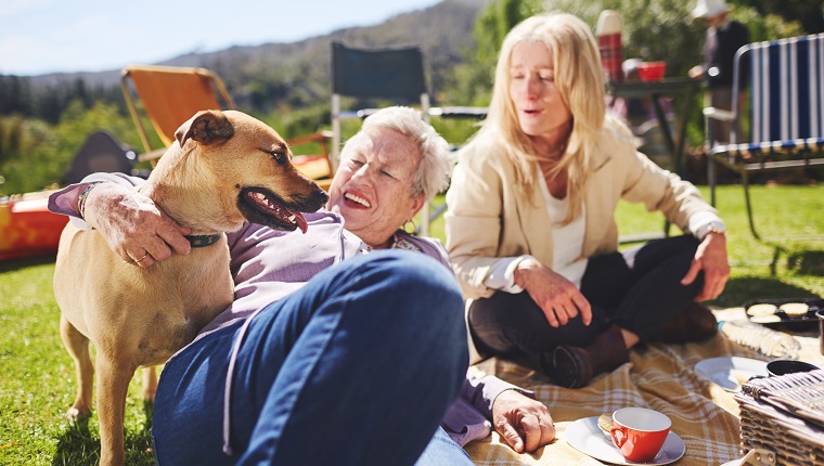 Happy active senior women and dog enjoying sunny summer picnic