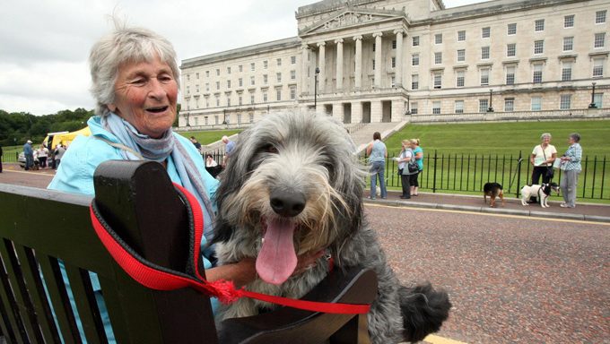 woman with dog on bench