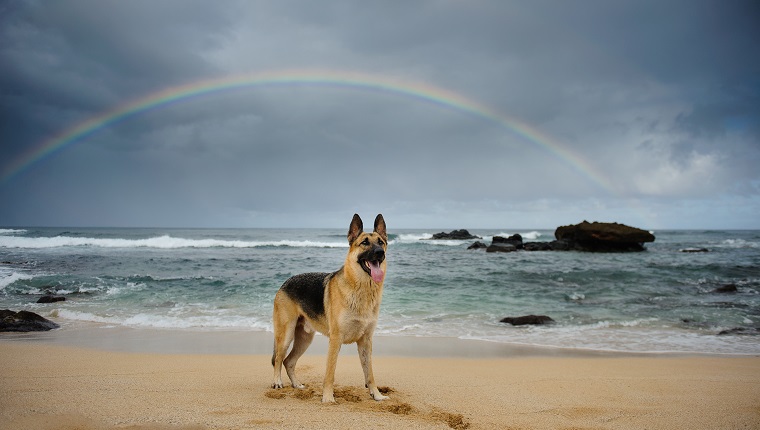 Photo Taken In Haleiwa, United States