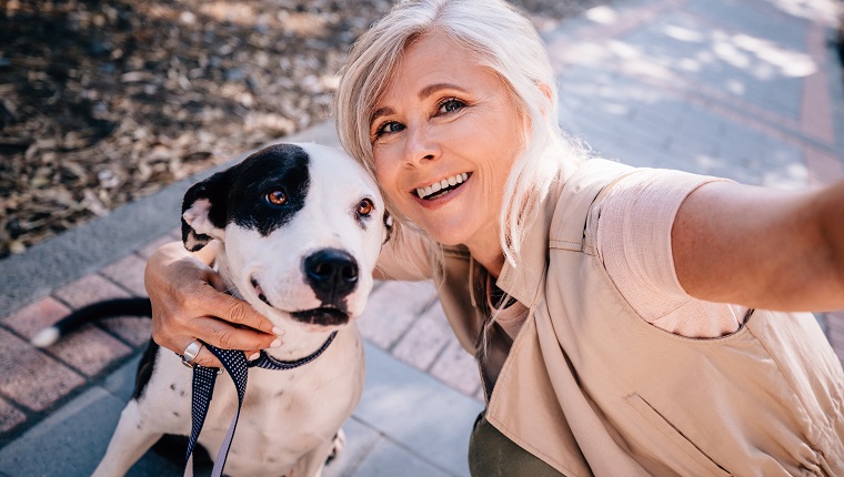 Happy mature woman video chatting on smartphone while walking with dog in park