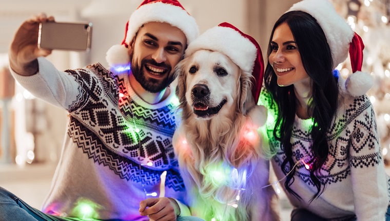 Merry Christmas and Happy New Year! Happy couple with dog labrador retriever waiting for the New Year in Santa Claus hats while sitting near beautiful Christmas tree at home. Smiling and making selfie