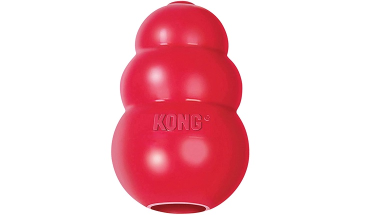 kong toy