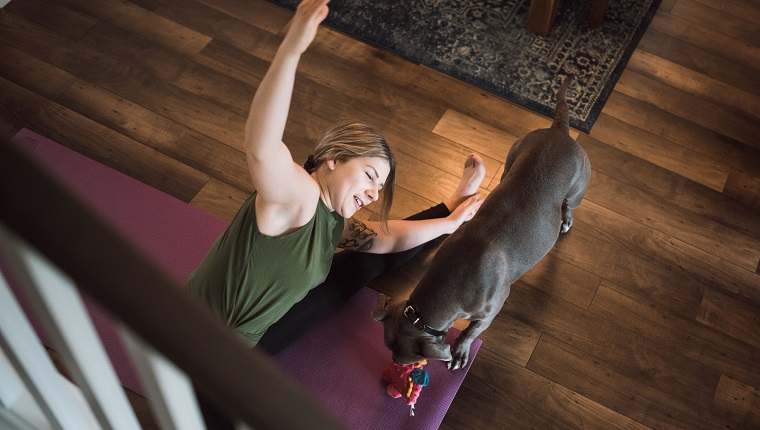 An adult woman does yoga and strength training exercises on a mat in her living room, her pet dog keeping her company and trying to play.