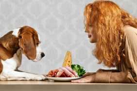 Dog presented with ham by young woman