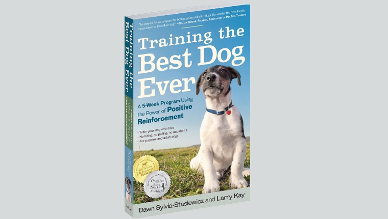 Training the Best Dog Ever