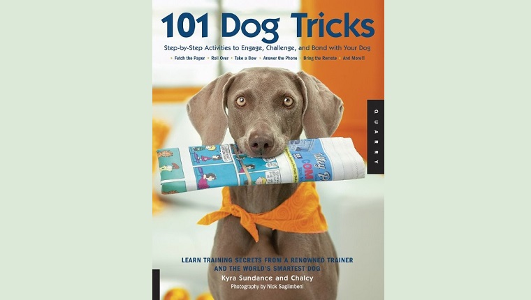 101 Dog Tricks: Step by Step Activities to Engage, Challenge, and Bond with Your Dog