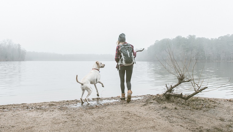 Young woman throwing stick for her dog on misty lakeside