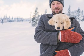 Man holding golden retriever puppy dog in his coat