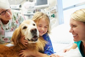 Young Girl Being Visited In Hospital By Therapy Dog