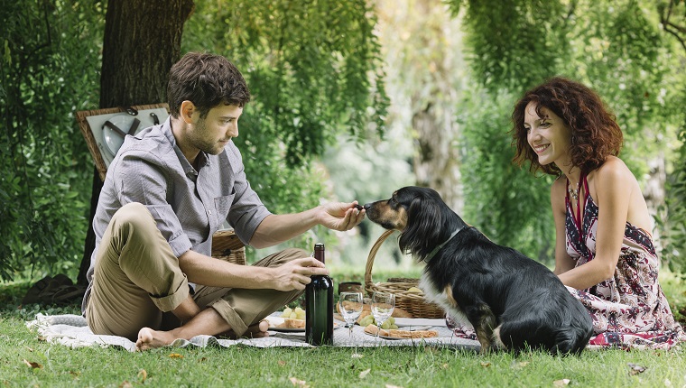 Italy, Veneto, Belluno, Caucasian Couple on a Picnic