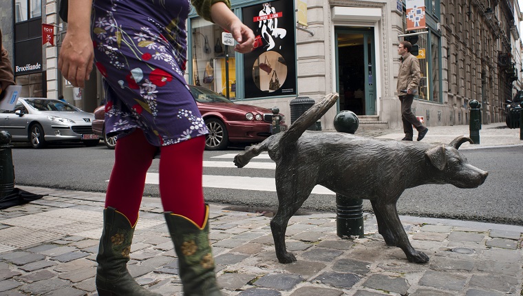 Zinneke Pis bronze statue (Tom Frantzen) of dog urinating, on corner of Rue du Vieux Marche aux Grains. Brussels, Belgium. According to local jargon, this word was used to denote stray dogs wandering around town without owner, but now also names the expression of artistic creation of European citizens, proud to be part of a mix of cultures and roots, at a time when increasing racial tensions arise and where politicians promote fear and hatred to divide citizens. 