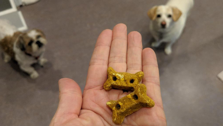 dogs wait for old mother hubbard treats