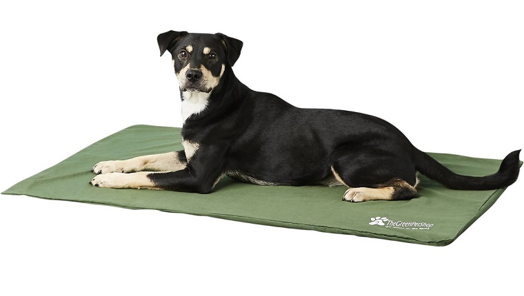 dog cooling pad