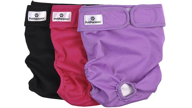 washable dog diapers