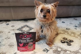 Macki sits next to Wellness Core Petite Treats