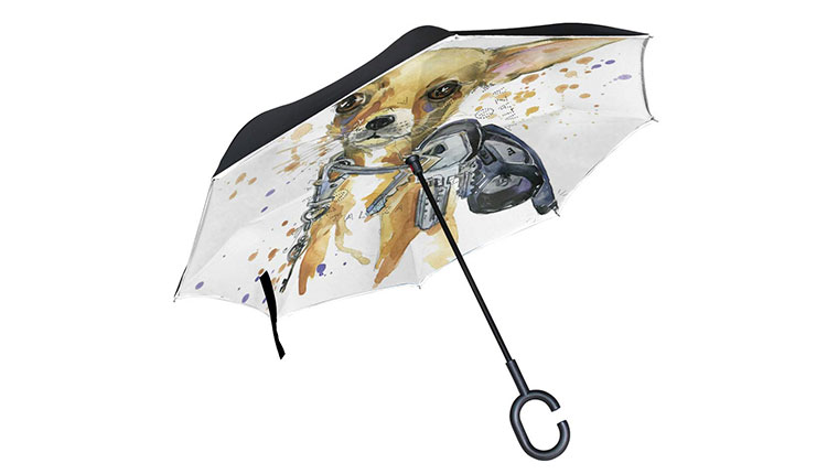 Dog Umbrella