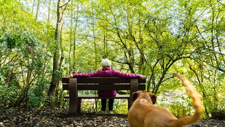 dog watching woman on bench