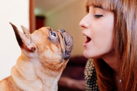 Young woman teaching her French bulldog