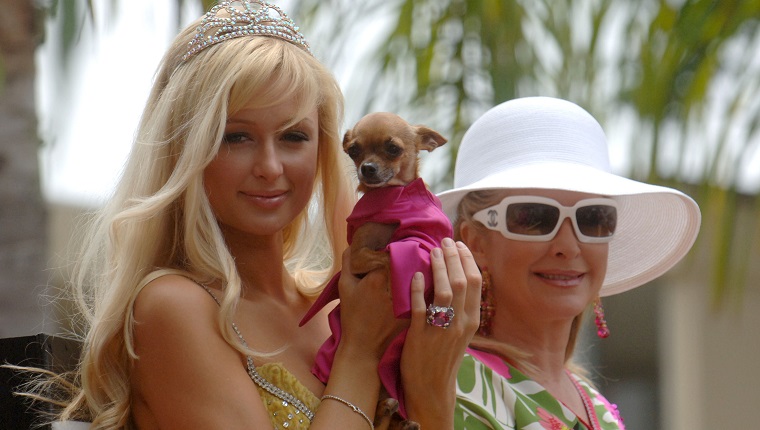 LOS ANGELES - JUNE 12: Grand Marshall Paris Hilton (L) and her mother Kathy Hilton ride on the float at the 2005 West Hollywood Gay Pride Parade, June 12, 2005 in Los Angeles, California. 