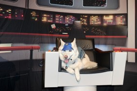 LAS VEGAS, NV - AUGUST 07: Star Trek dog sits in the Captain Chair on day 5 of Creation Entertainment's Official Star Trek 50th Anniversary Convention at the Rio Hotel & Casino on August 7, 2016 in Las Vegas, Nevada.