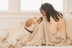 Dog and human