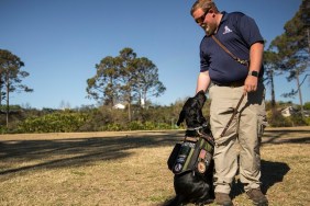 PONTE VEDRA, FL - MARCH 15: Adam Fuller and his dog JD demonstrate the "cover" command for the class. The command brings the dog to the owner's side and looking behind them to protect the person when they have their back turned to a group of strangers. Fuller helps teach as part of the K9s for Warriors program, a graduate of the program in January, he is training to be a full time instructor with the organization.