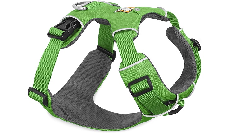 dog harness