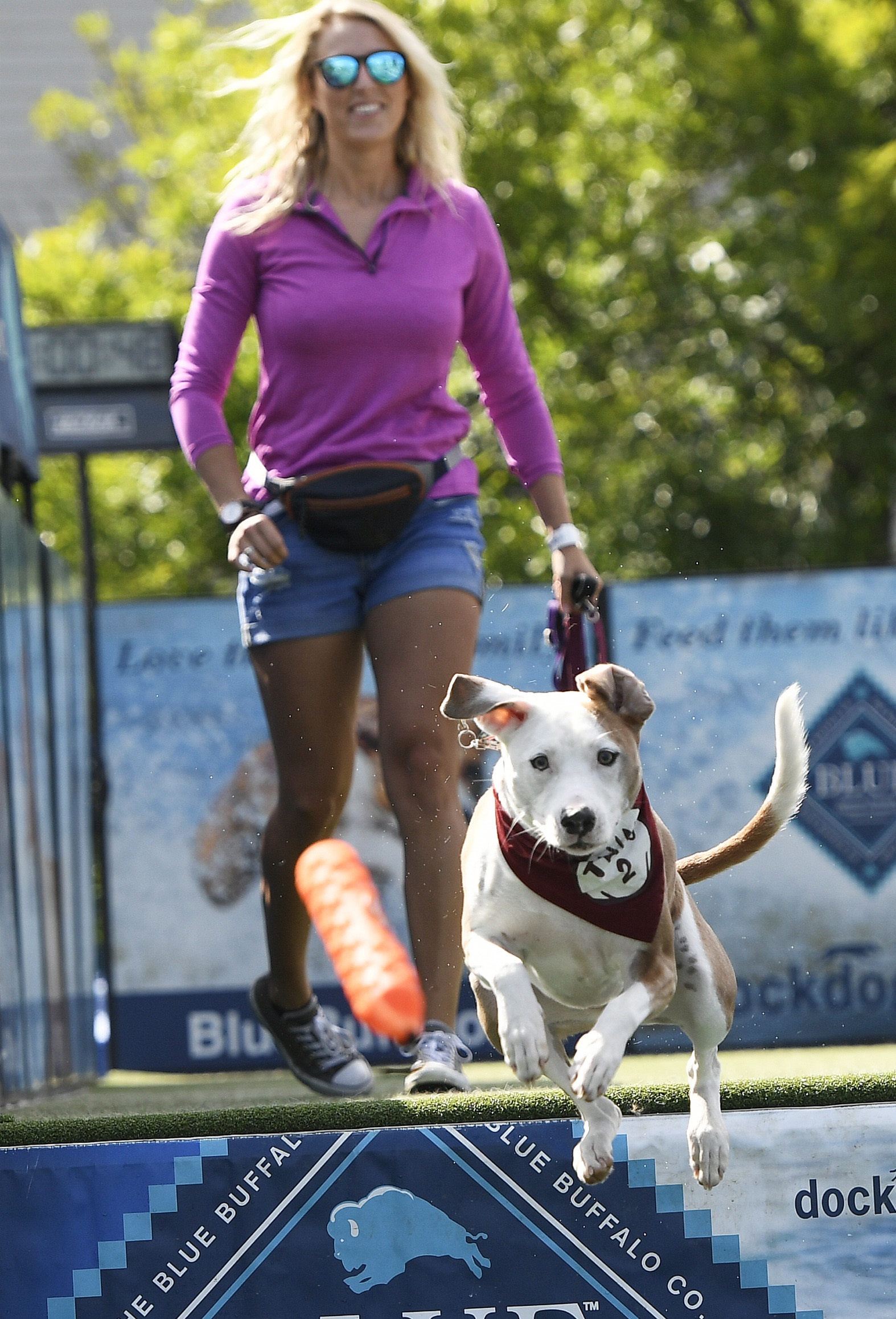 FREEPORT, ME - AUGUST 24: Courtney Bagley of South Portland watches as her dog Hannah, a pit bull, australian shepherd mix dives into the pool during the DockDogs event at the LL Bean Dog Days of August Saturday, August 24, 2019. 