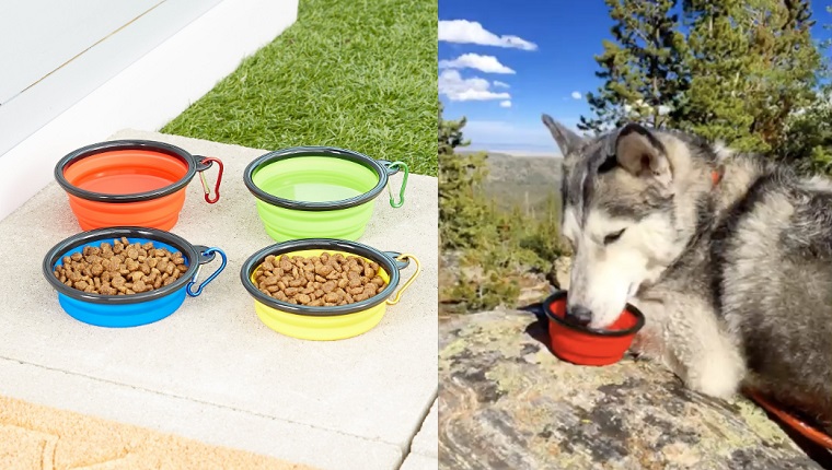 dog bowls