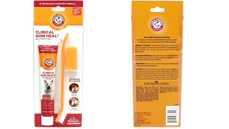 dog brush and toothpaste kit