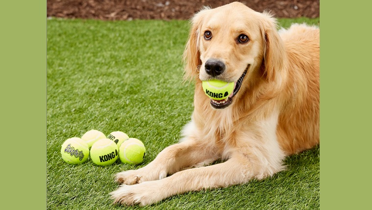 kong ball toys