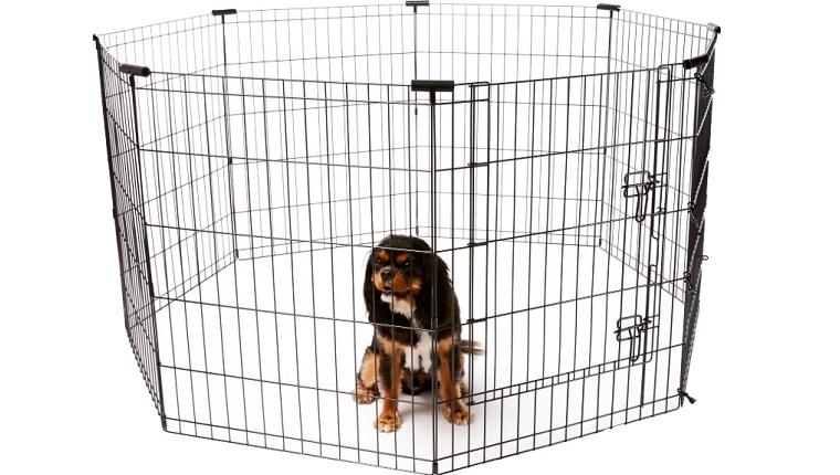 dog pen