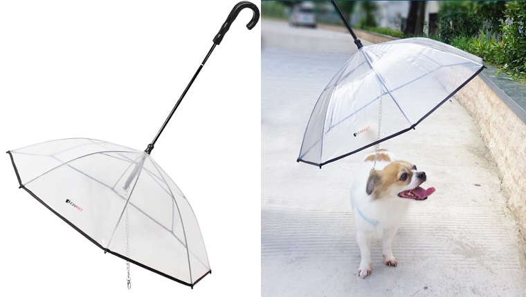 dog umbrella