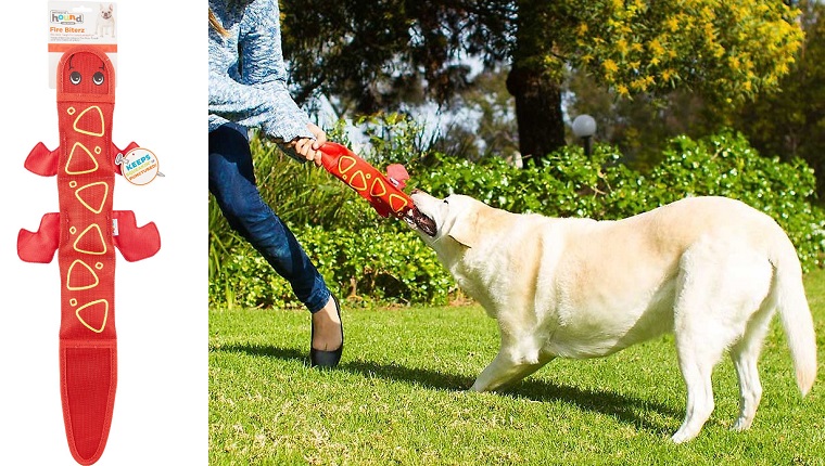 Lizard Squeaky Dog Toy