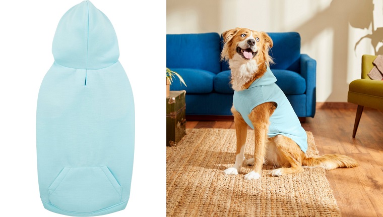 dog hoodie