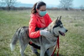 Woman wearing a protective mask is walking alone with a dog outdoors because of the corona virus pandemic covid-19
