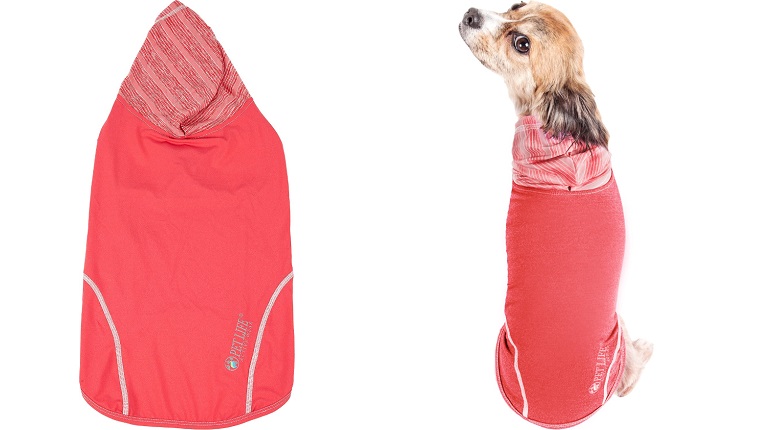 dog hoodie