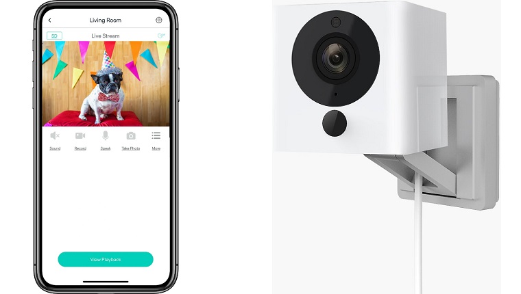 pet camera