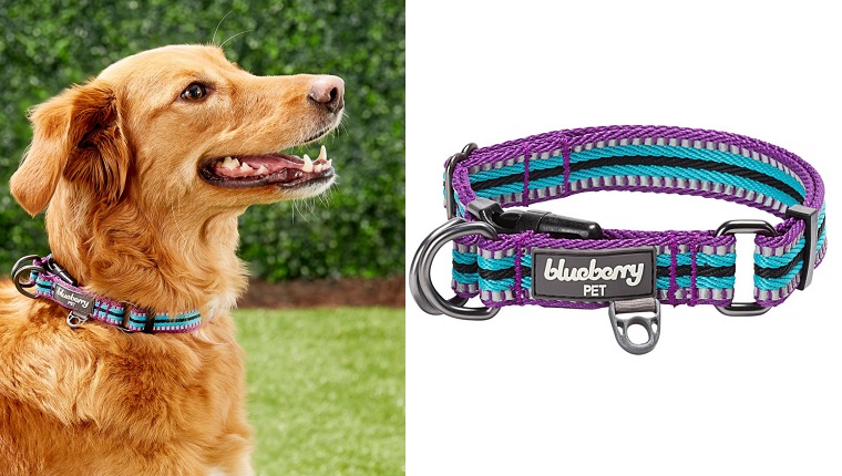 Reflective Multi-Colored Stripe Dog Collar