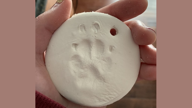 Leia's paw print