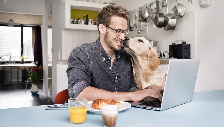 Deutschland, NRW, Köln, Business, Küche, Homeoffice, Heimarbeit, Entspannung, Hund