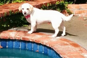 sara standing by the pool