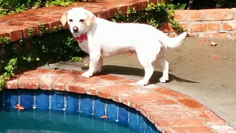 sara standing by the pool