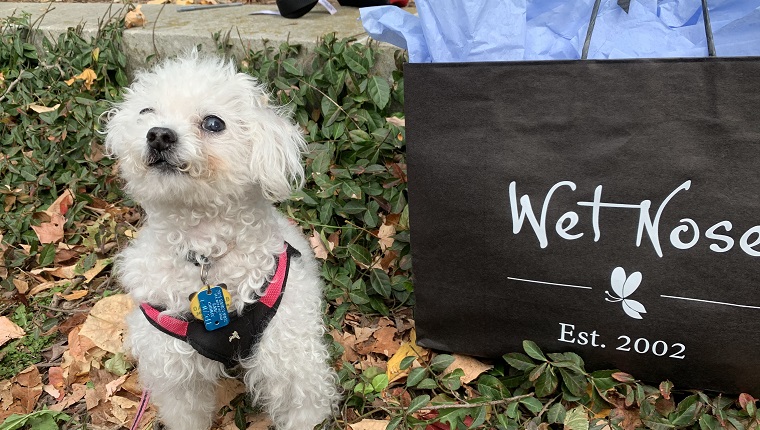 Leia was a proud pup when she won the prize bag!