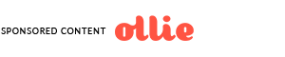 Sponsor logo