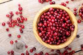 Cranberry in a wooden plate on a wooden background. Cranberries are safe for dogs.