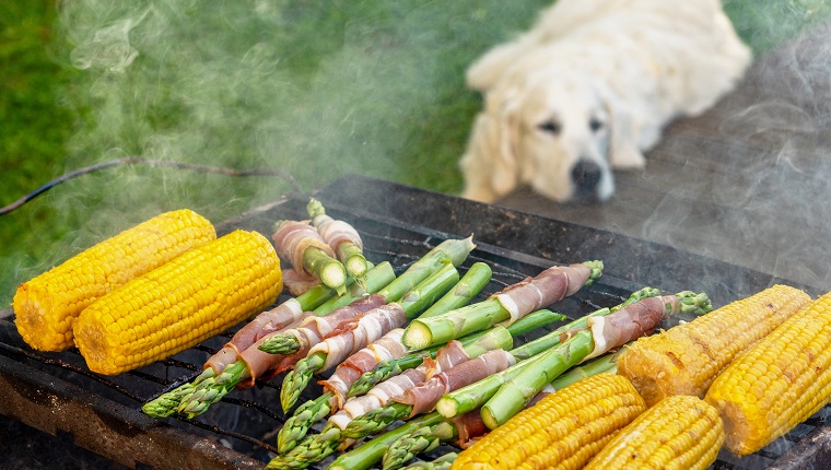 Gourmet barbecue. Grill veggies - corn, asparagus with bacon and prosciutto. Golden retriever napping during family barbeque in the backstage of summer terrace.